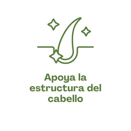 Apoya la estructura del cabello